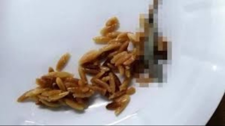 İlkokul öğrencilerinin öğle yemeğinden ölü kertenkele çıktı! 65 öğrenci hastanelik oldu