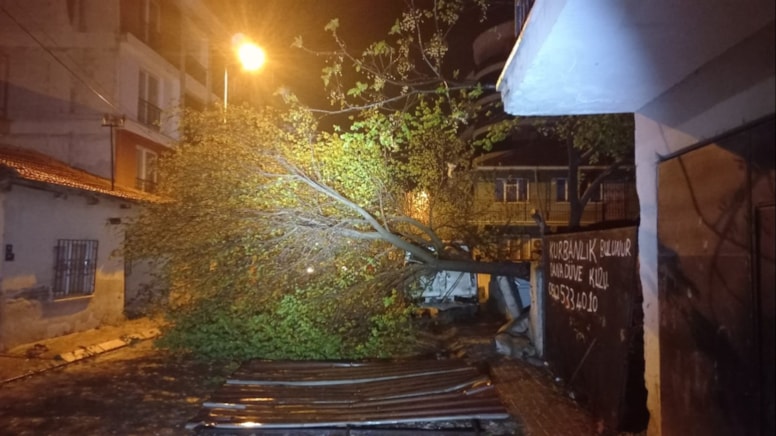 Aydın'da fırtına çatıları uçurdu