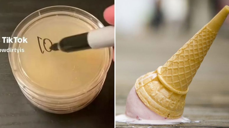 Yere düşen yiyeceklerde '5 saniye kuralını' inceledi: Bilim insanı bile şaşırdı