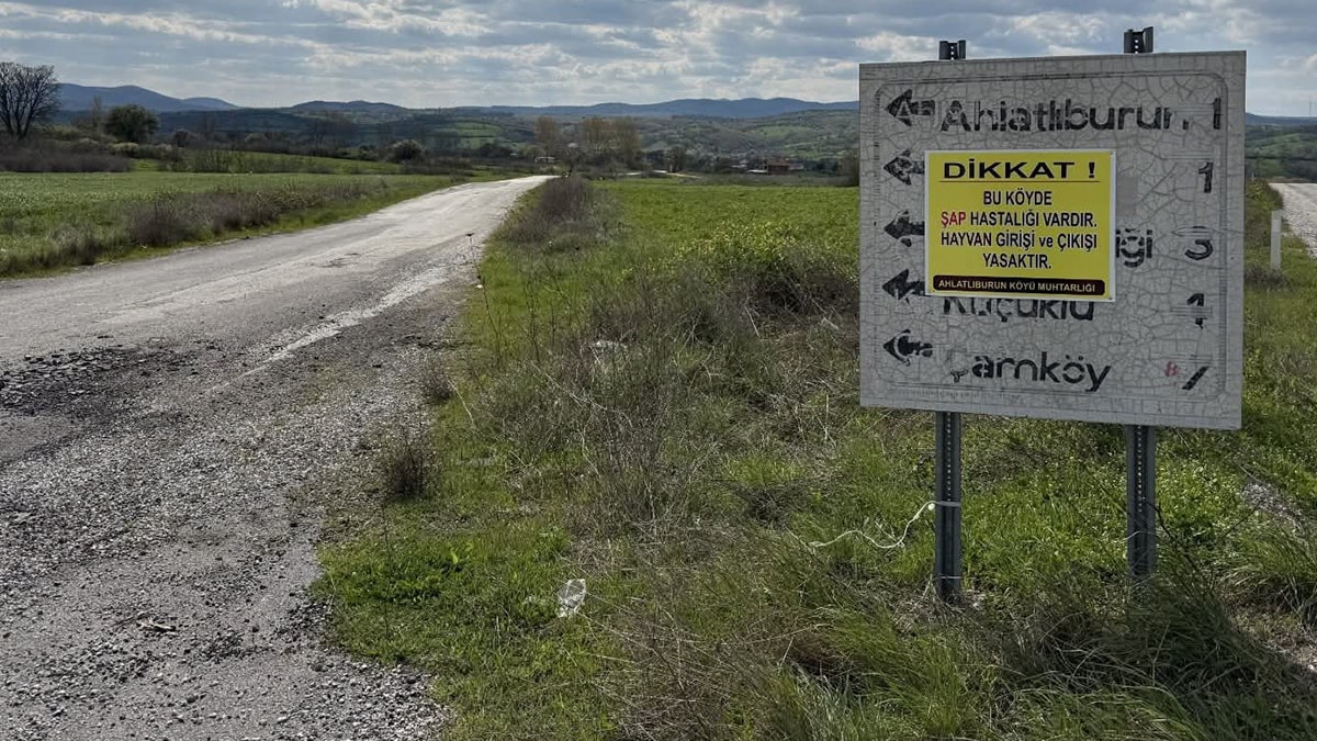 Çanakkale’de şap hastalığı alarmı