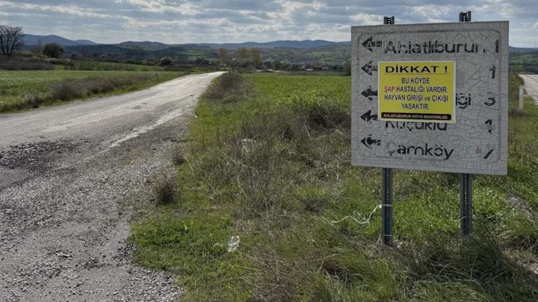 Çanakkale’de şap hastalığı alarmı