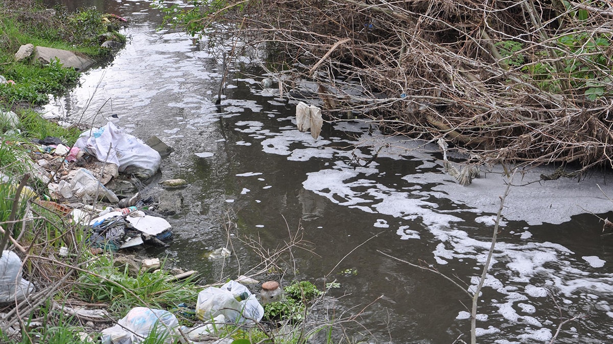 Saranlı Deresi'nde kirlilik alarmı