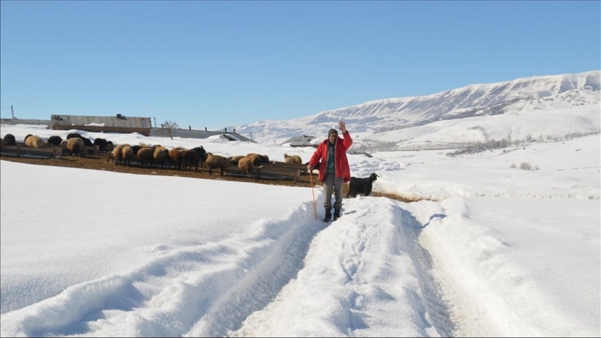 Bitlis ve Muş'ta kar esareti