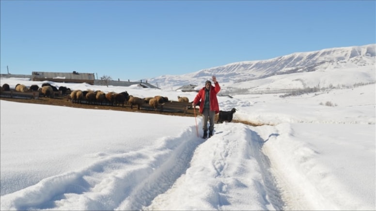 Bitlis ve Muş'ta kar esareti