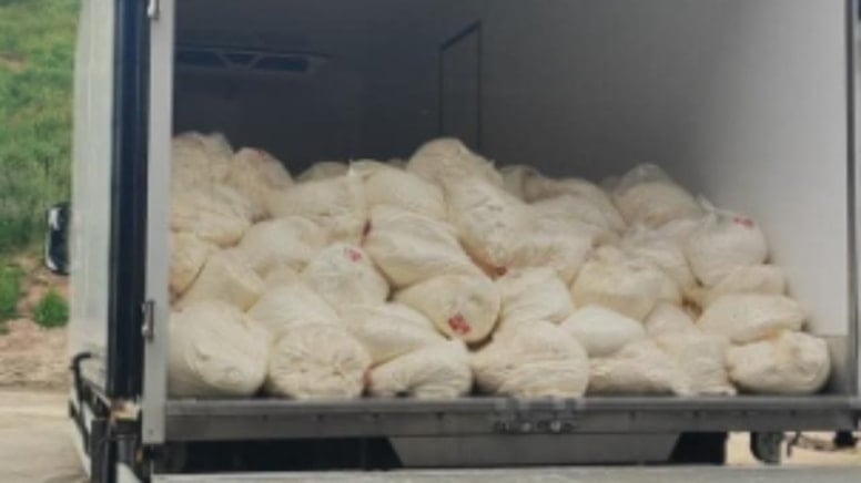Tam 23 ton! Yakalanmasa soframıza gelecekti