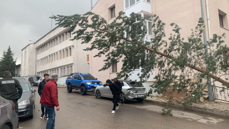 Gümüşhane'de fırtına alarmı: Ağaçları yerinden söktü