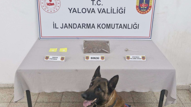 Yalova'da uyuşturucu operasyonu: 1 kişi tutuklandı
