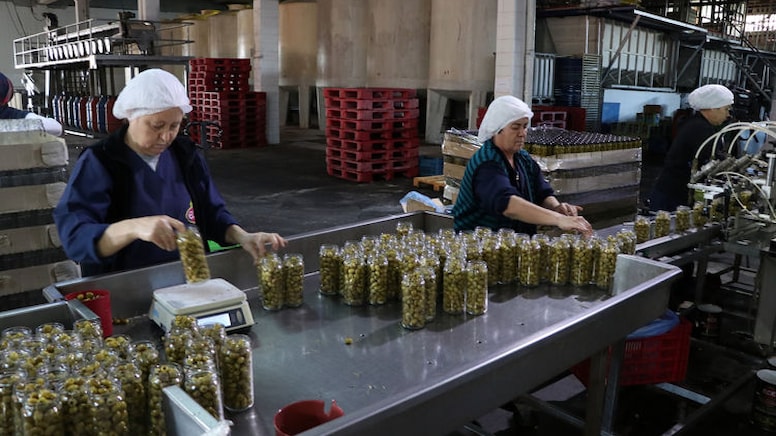 Türkiye Mısır'ı gölgesinde bıraktı: 700 bin tonla birinci oldu