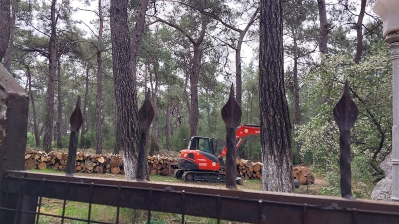 Akyaka ormanlarının betonlaşması TBMM’de