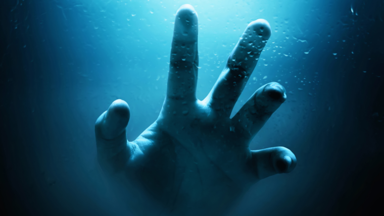 Deniz canavarları yakaladığını parçalıyor: Ortaya çıktılar