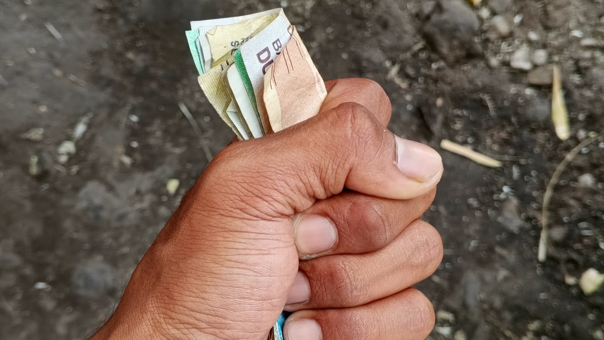 Kör kahin ne dese yaşıyoruz: Bu yılki tahmini tutarsa yandık