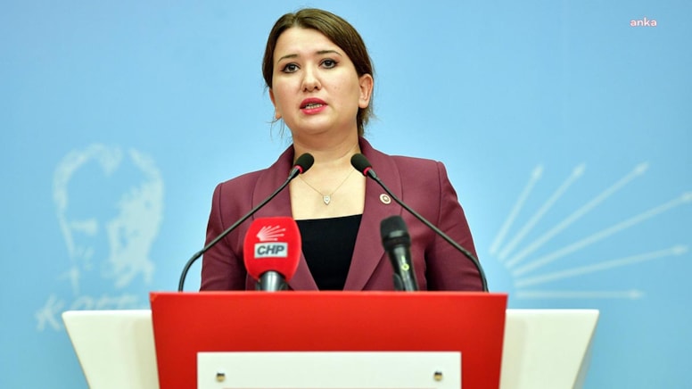 CHP'li Gökçen, İzmir'deki öğretmenin atamasının iptalini Meclis gündemine taşıdı