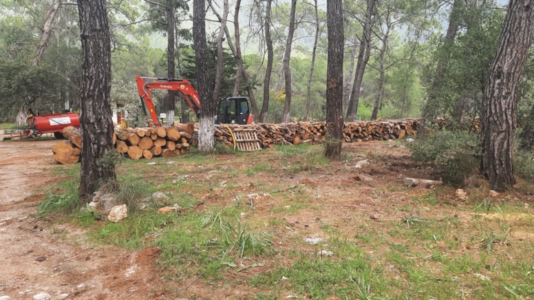 Gökova betonlaşmaya değil korunmaya muhtaç