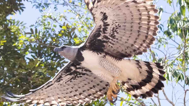 20 yılın ardından bir ilk: En umut verici haber olabilir!