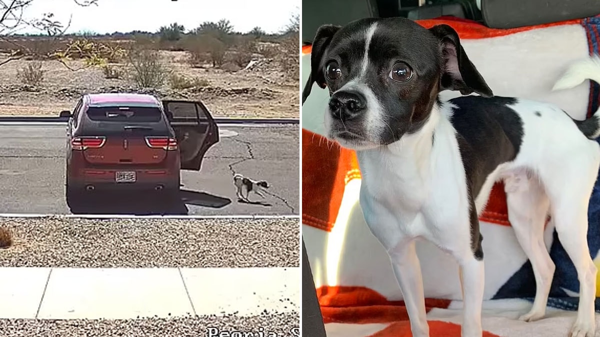 Vicdansızca sokağa terk edip kahkahalar attılar... Sonunda 'Kısmet'ini buldu