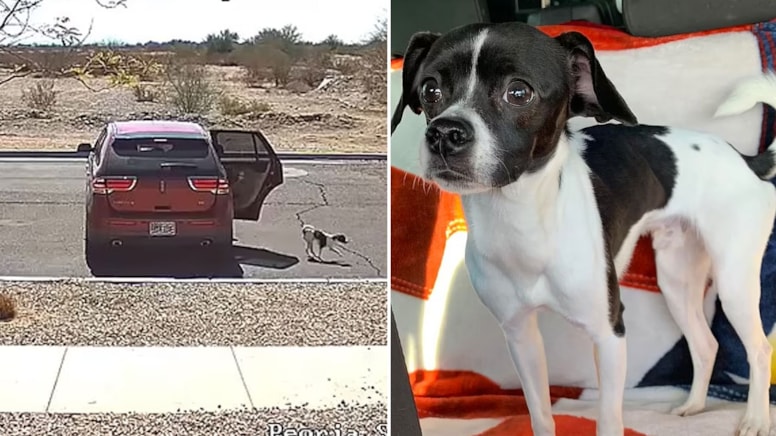 Vicdansızca sokağa terk edip kahkahalar attılar... Sonunda 'Kısmet'ini buldu