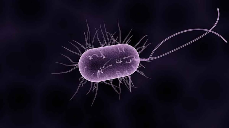 Yeni bir mikrop türü keşfedildi: Dünyanın kurtuluşu artık zor değil, bu bir devrim!