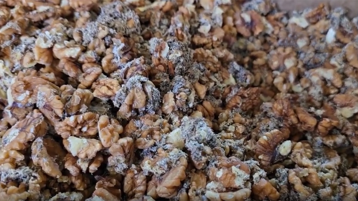 Yakalanmasa, bunları halka yedireceklerdi
