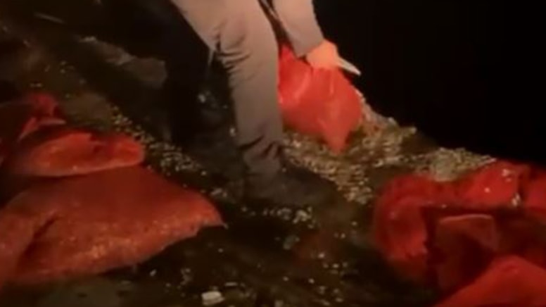 Kaçak midye avcılığına 37 bin lira ceza