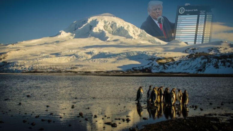 Adada insan yaşamıyor: Trump, penguenlerden yüzde 10 vergi istiyor