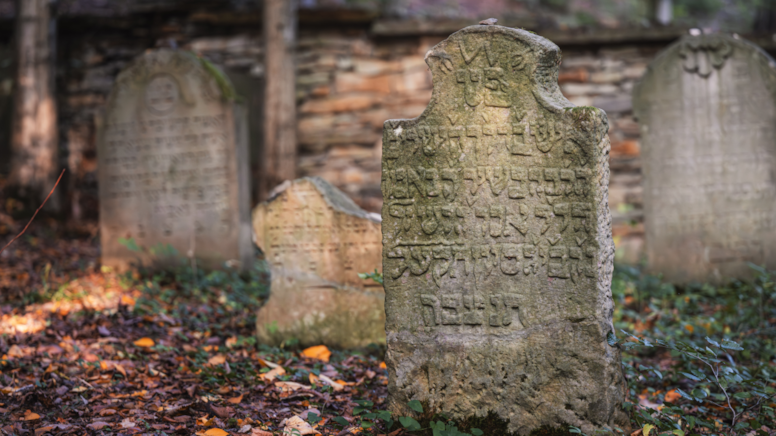 Ölen annesinin emekli maaşını çeken kadından 'Yok artık' dedirtecek savunma