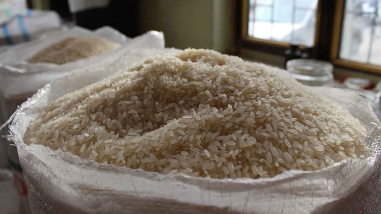 Pirincin bu türünü çocuklara vermeyin: Yüksek oranda arsenik içeriyor