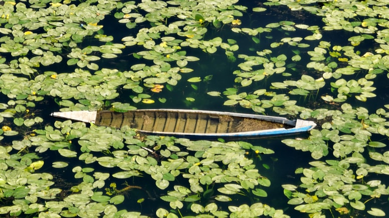 Baharın renkleri Gölbaşı'nda yeniden hayat buldu Baharın renkleri Gölbaşı'nda yeniden hayat buldu