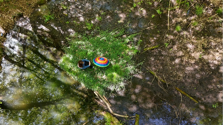 Longoz Ormanları baharla birlikte canlandı