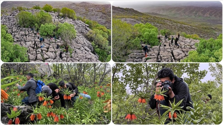 Fotoğraf tutkunlarının yeni rotası: Görese Dağı