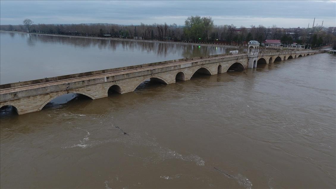 Edirne'de film gibi olay! Nehre düştü, arkadaşının uzattığı dalla hayata tutundu