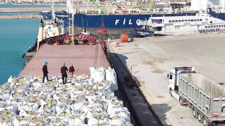 Bakanlığın kararı üreticiyi isyan ettirdi: 300 bin ton çürümeyi bekleyecek