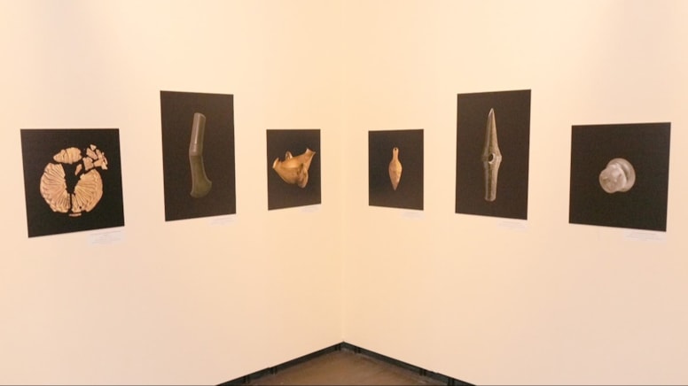 Troya-hazineleri 'Lütfen geri dönsün'