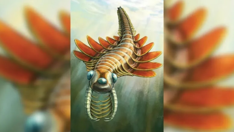 500 milyon yıllık 3 gözlü deniz canlısı keşfedildi