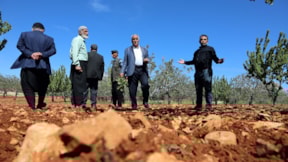 Tarlaya giren çiftçi eyvah dedi: 3 yıl boyunca hasat yapamayacaklar