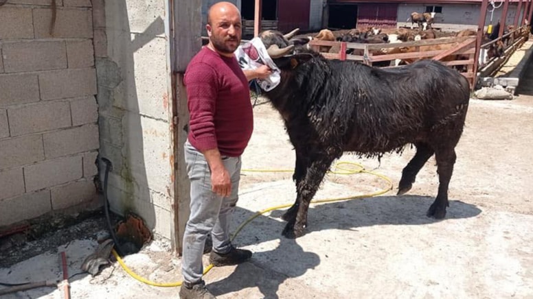 Komşuların arazi kavgası kanlı bitti: 1 ölü