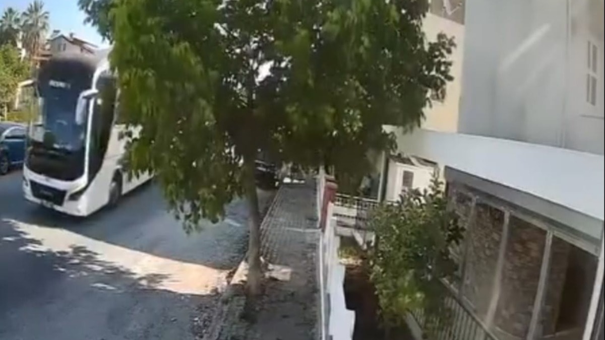 Sokakta yatan köpeği ezdi yoluna devam etti