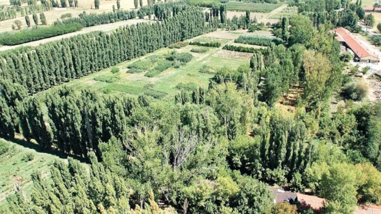 Asırlık mirası yediler