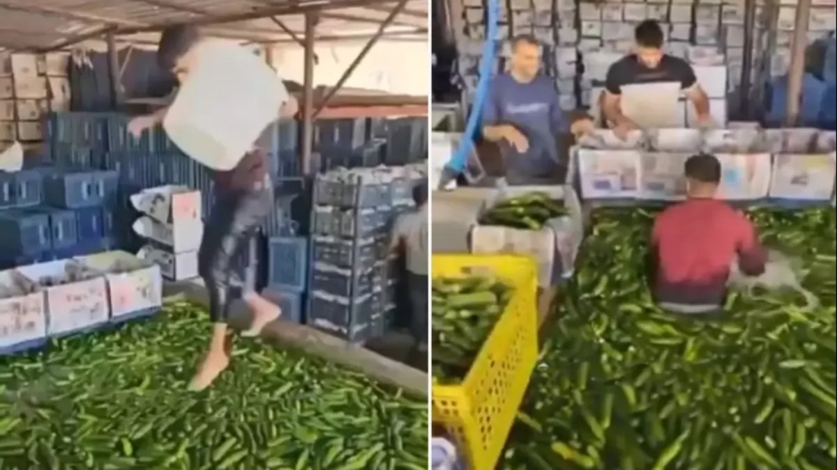 Mide bulandıran görüntüler sonrası harekete geçildi!