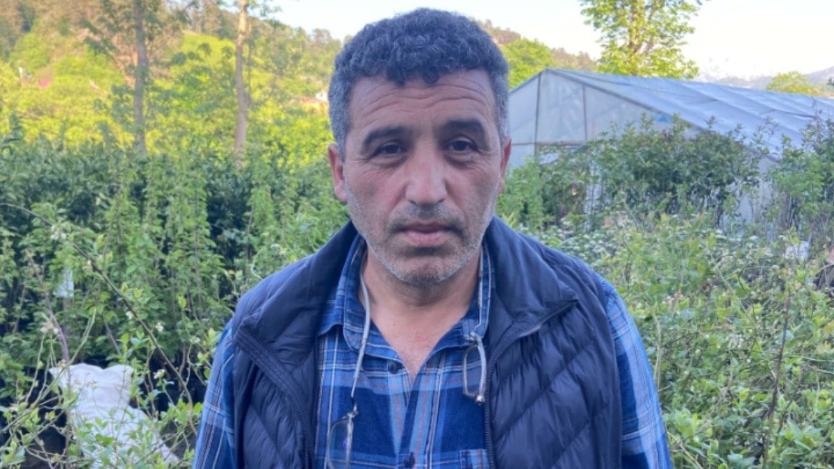 Fındıklı Ziraat Odası Başkanı: Yaş çayda üreticinin hakkı 35 liradır