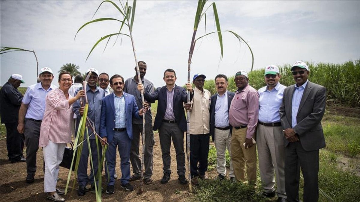 Sudan macerasına 276 milyon gitti