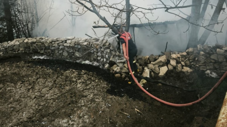 Kütahya'da 4 kümes yandı; 100 tavuk telef oldu