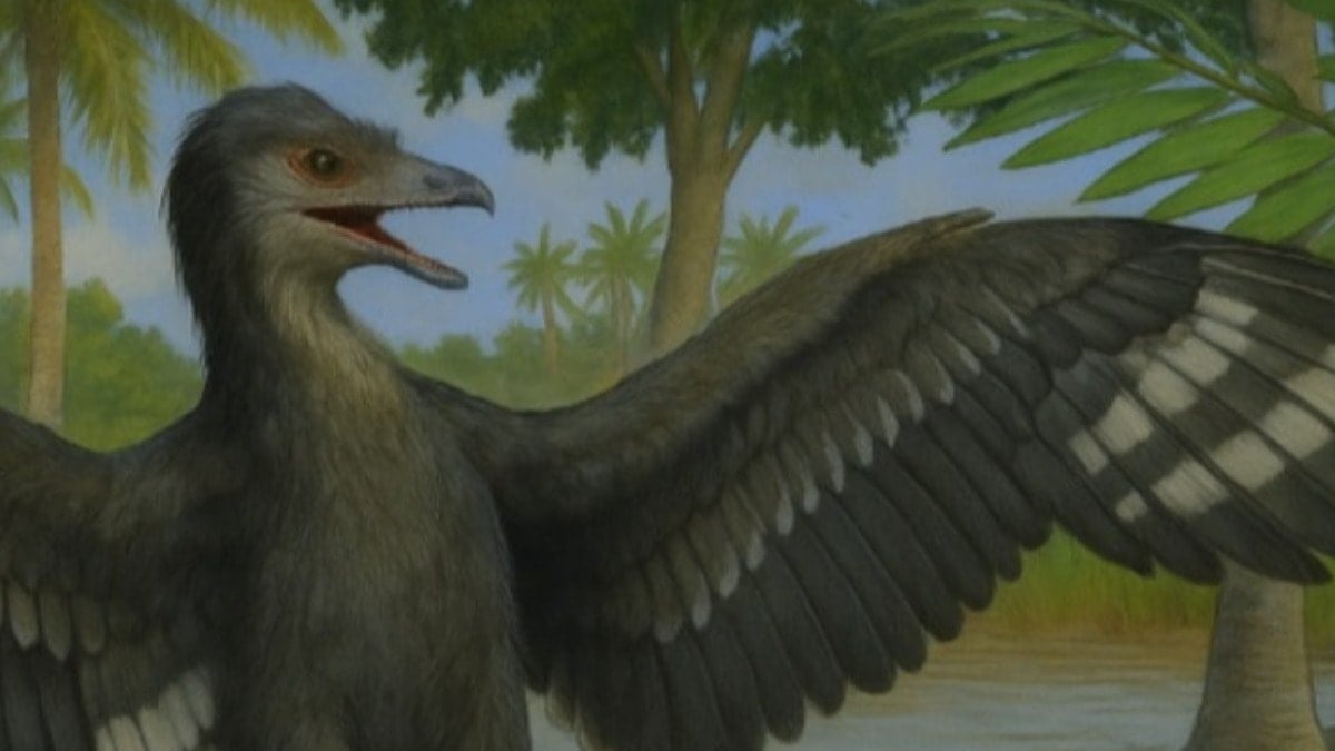Güvercin büyüklüğündeki dinozorun sırrı çözülüyor