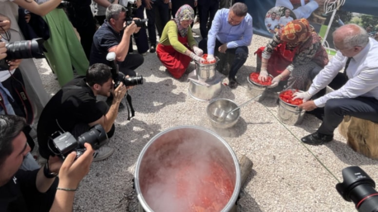 Festival eşliğinde hasadı başladı