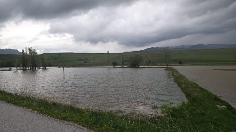 Erzincan'da tarım arazilerini sağanak vurdu