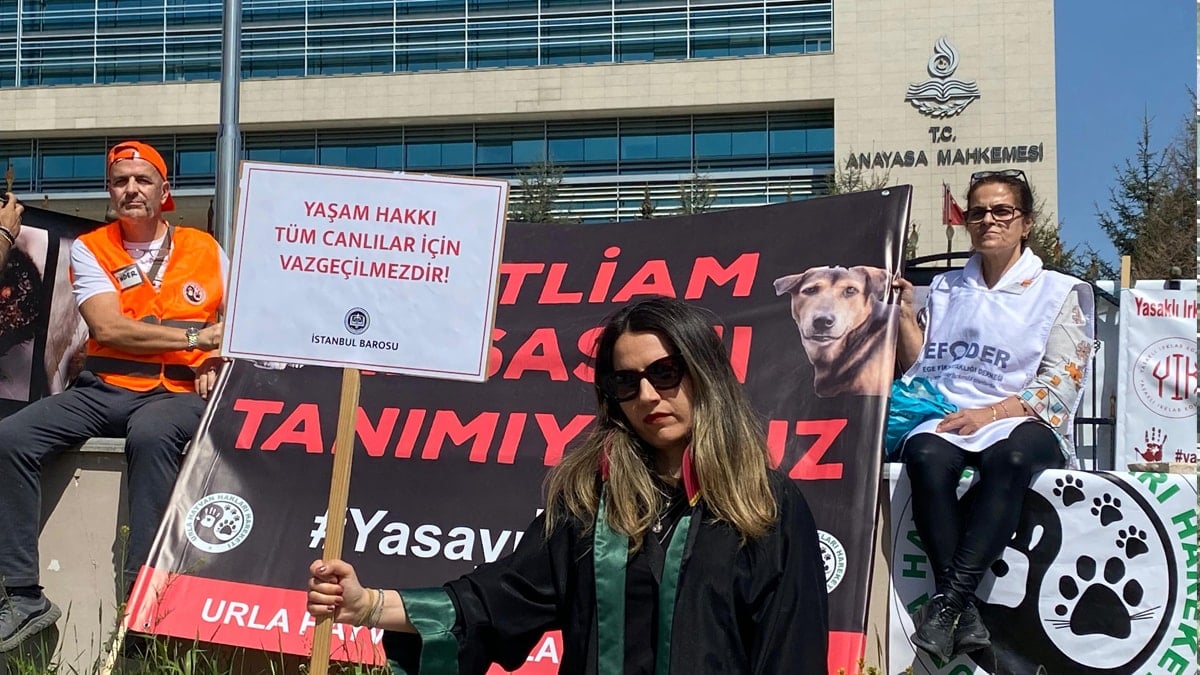 Hayvanseverlerden AYM önünde nöbet