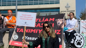 Hayvanseverlerden AYM önünde nöbet