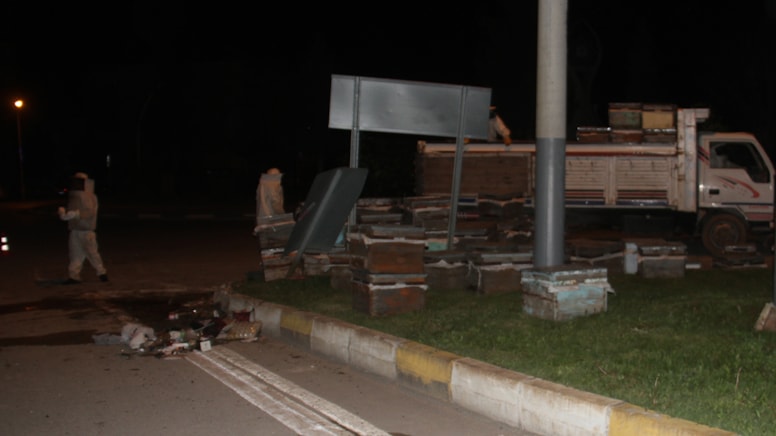 Arı kovanı taşıyan kamyonet devrildi! Arılar olay yerine gelen polisleri hastanelik etti