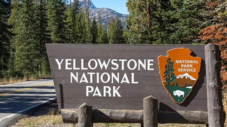 ABD'de katliam gibi kaza: 7 ölü