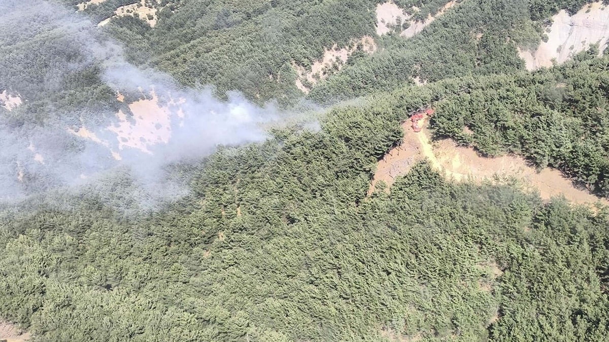 Çanakkale'de orman yangını: Ekipler seferber oldu