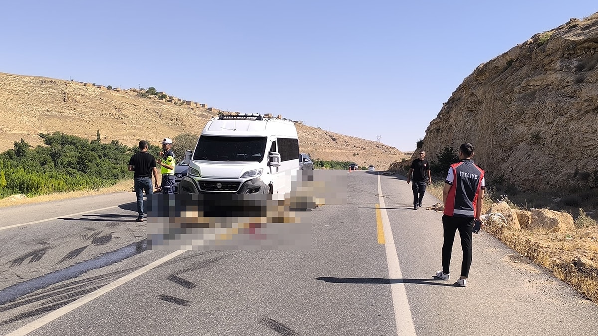 Mardin'de minibüs sürüye daldı: 13 küçükbaş öldü